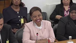 2026 05 14 - Audiência de uma delegação da Comissão de RI, Cooperação e Comunidades da AR Moçambique