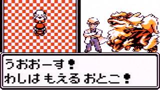 【ゆっくり実況】野生ポケモンを倒さず三匹で挑むポケットモンスター赤 Part21
