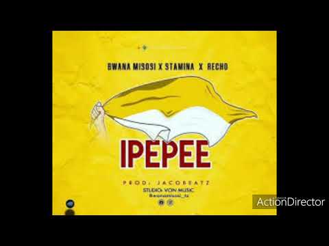 STAMINA FT BWANA MISOSI & RECHO IPEPEE official music