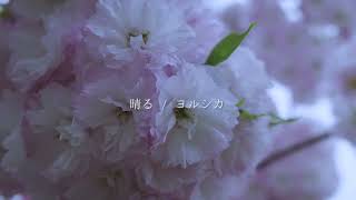 - 晴る 歌ってみた
