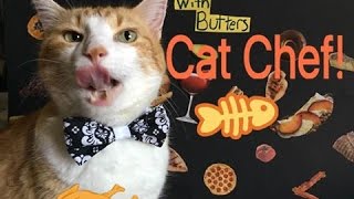 How To Make Popsicles For Your Cat