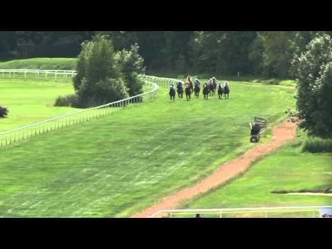 KV, 14. 6. 2015, 1. dostih - Cena společnosti REALISTIC, a.s.