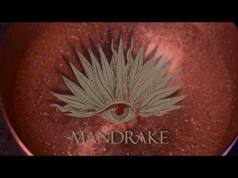 Mandrake's Weekly Gong Baths