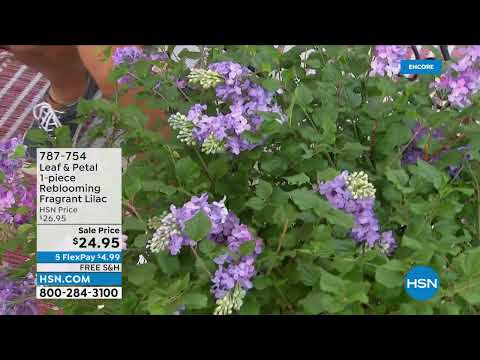 HSN | Best of Guy's in the Garden 04.24.2022 - 03 AM