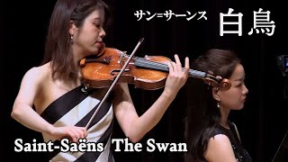 Download lagu The Swan Saint-Saëns mp3 Download lagu The Swan Saint-Saëns mp3