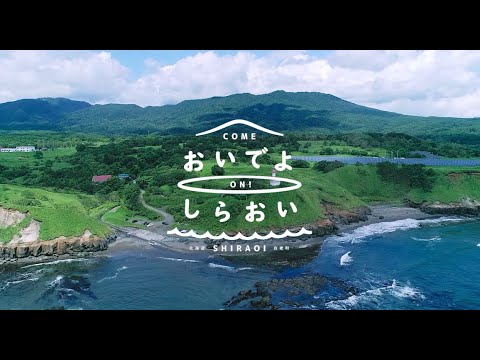 おいでよ しらおい