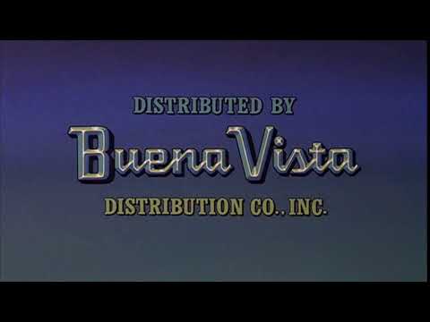 Buena Vista Distribution Company (BVDC)