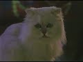 Stuart Little 2 2002 VHS And DVD Trailer