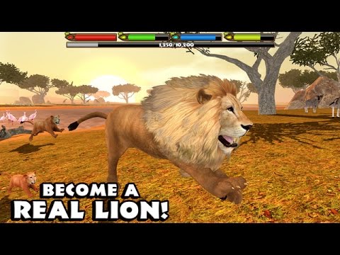 ULTIMATE ♌LION SIMULATOR - By Gluten Free Games - Compatible with iPhone, iPad, and iPod touch. - YouTube