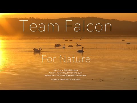 Team Falcon-For Nature