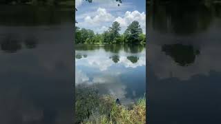 Houston Texas fishing spots!