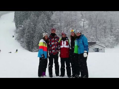 The Japanese Experience