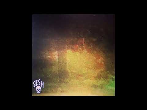 01. Vegard - DuErDum [You're stupid]