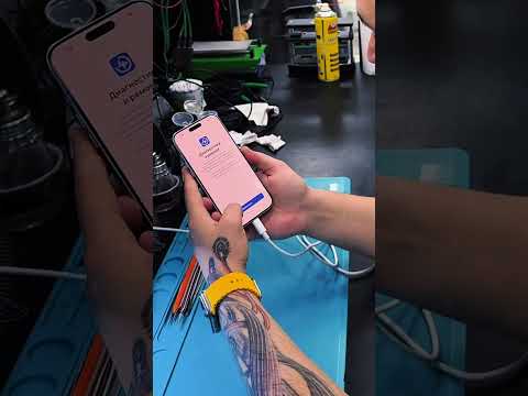 11 февраля 2026 г.