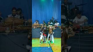 Download lagu Kebo giyo kemasan sachet #kebogiro #langenrukunmudho #shorts mp3