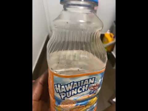 Hawaiian Punch - Something has to be done about this