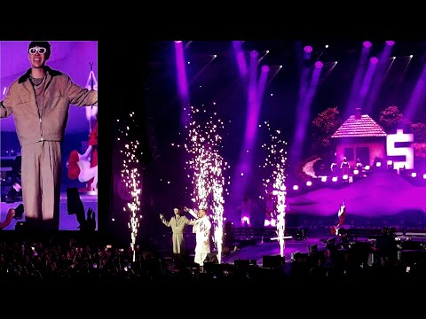 DESH x YOUNG FLY - Pannonia | Live at Budapest Park | 2025