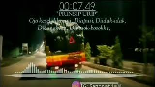 Download lagu Story wa Kekinian (Truk tampan) mp3 Download lagu Story wa Kekinian (Truk tampan) mp3