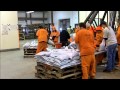 Flood And Faith Wmv