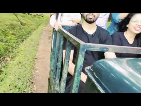 Badra tiger safari | Badra wildlife sanctuary|