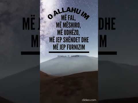 Lutje te ndryshme 44