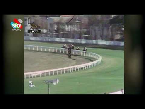 Luskin Star 1977 Champagne