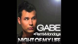 GABE Ft DJ Pauly D - Night Of My Life Remix
