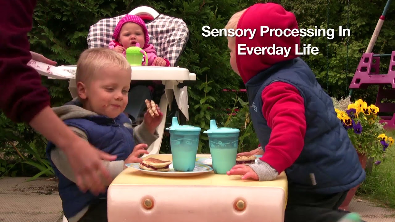 An Introduction to Sensory Processing (Version 2)