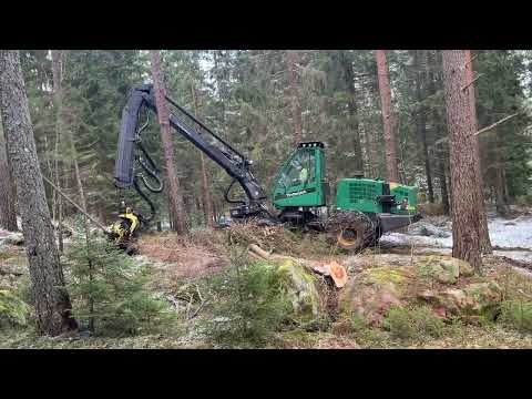 Videoklipp