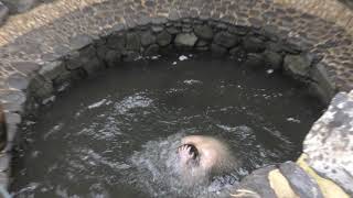 ИЗАРИЛЬ ИЕРУСАЛИМ