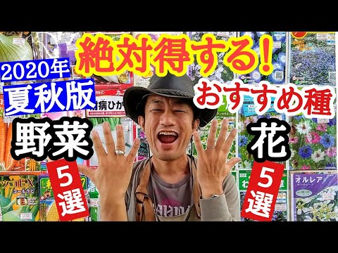 園芸 夏には菜園にきちんと種をまきましょう