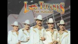 Los Tucanes de Tijuana - Empinando el Codo