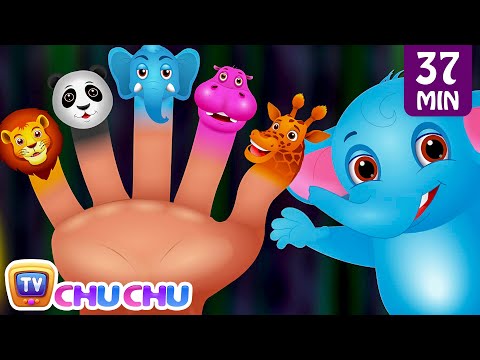 Finger Family Nursery Rhymes | Animal Finger Family Songs Collection | Learn Wild Animals | ChuChuTV