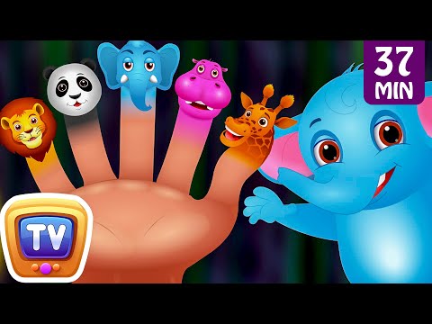 Finger Family Nursery Rhymes | Animal Finger Family Songs Collection | Learn Wild Animals | ChuChuTV | Video & Photo Finger Family Nursery Rhymes | Animal Finger Family Songs Collection | Learn Wild Animals | ChuChuTV | Video & Photo