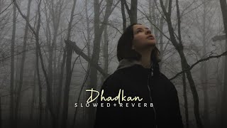 Download lagu Dhadkan (slowed reverb) mp3 Download lagu Dhadkan (slowed reverb) mp3