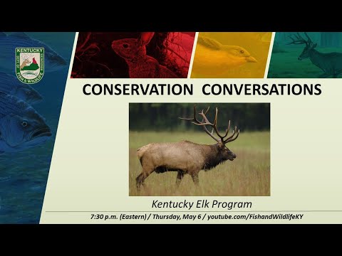 Conservation Conversations - Kentucky Elk Program