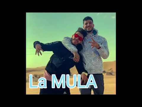 Zen dakh la mula {vídeo clip officiel}