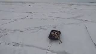 «Волна ломает лёд» – МЧС опубликовало шокирующее видео зимней рыбалки