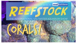 Corals of ReefStock Australia 2019