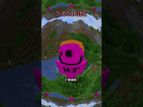 classic 18w31a moment XD