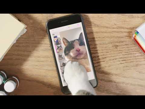 Polaroid - Hi Print Ease