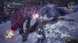 適当にモンスターハンターワールドアイスボーン