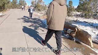 Day2 Grand Canyon ロードトリップ、週末旅行.