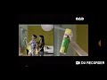 2003 Baygon Thailand TVC