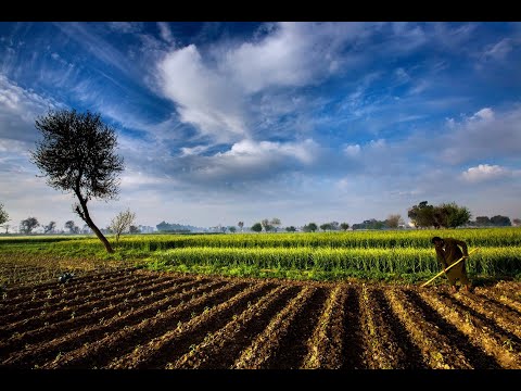 12. The Future of Climate Robotics