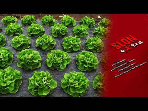 Najava - Agro kutak - Kako do poticaja Grada Tuzla? - 13.12.2016.