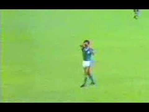 Lances Curiosos da Taça de Ouro 1983