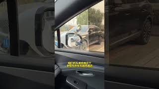 Re: [閒聊] 停車教學