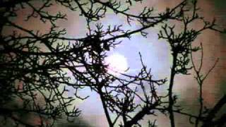 Richard Clayderman - Beethoven  - Moonlight Sonata