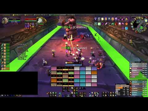 WoW Classic Naxx Holy Paladin POV Circus Edition 1:46 hour clear